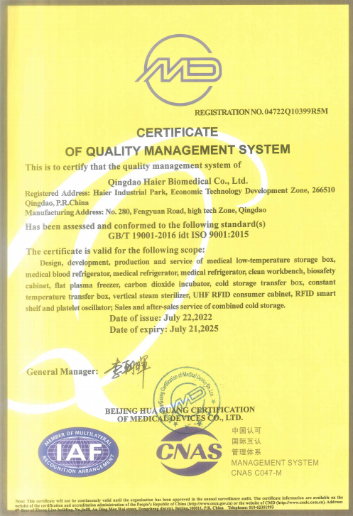 certificates image.jpg