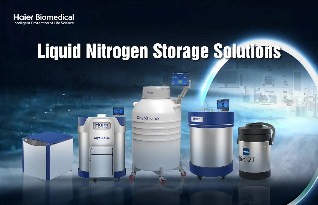 Liquid Nitrogen Storage Solutions